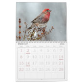 Calendrier photo Oiseau sauvage (Feb 2026)