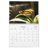 Calendrier photo papillon (Feb 2027)