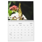 Calendrier photo papillon (Mar 2027)