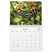 Calendrier photo papillon (Jan 2026)