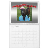 Calendrier photo parfait Belles chèvres (Mar 2027)