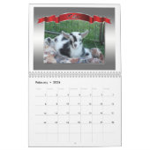 Calendrier photo parfait Belles chèvres (Feb 2026)