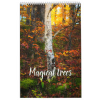 Calendrier photo paysage arbres magiques