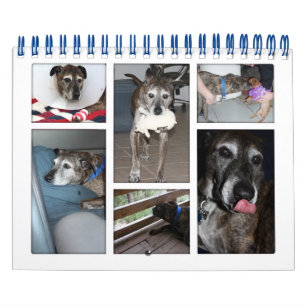 Calendrier photo personnalisé