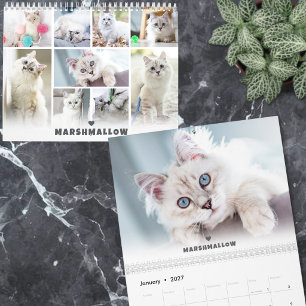 Calendrier Photo personnalisée de chat mignon