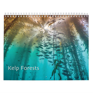 Calendrier photo sous-marin de la forêt Kelp - Océ