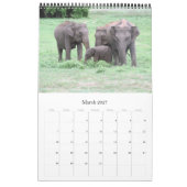 Calendrier photo sri lanka (Mar 2027)
