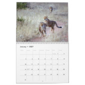 Calendrier Photographie 2011 de faune (Jan 2027)