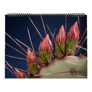 Calendrier Photographie de Beaux-Arts de Cactus et Succulents