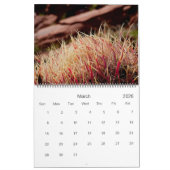 Calendrier Photographie de Beaux-Arts de Cactus et Succulents (Mar 2026)