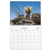 Calendrier Photographie de Beaux-Arts de Cactus et Succulents (Feb 2026)