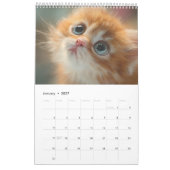 Calendrier Photographie de chat confortable | Mur de chat de  (Jan 2027)