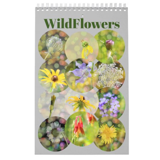Calendrier Photographie de Fleurs sauvages (Protection)