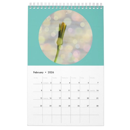 Calendrier Photographie de Fleurs sauvages (Feb 2026)