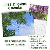 Calendrier Photographie de la couronne d'arbre botanique