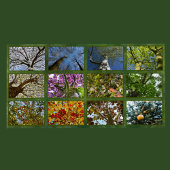 Calendrier Photographie de la couronne d'arbre botanique