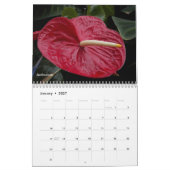 Calendrier Photographie de la flore tropicale (Jan 2027)
