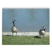 Calendrier Photographie de la nature (Protection)