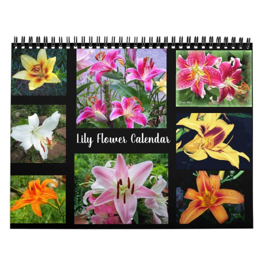 Calendrier Photographie de Lily Flower (Protection)
