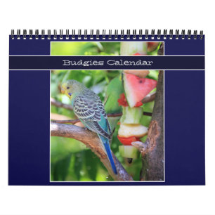 Calendrier Photographie de perroquet Budgie animal de compagn