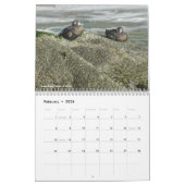 Calendrier Photographie de plage (Feb 2026)