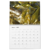 Calendrier Photographie de plage (Mar 2027)