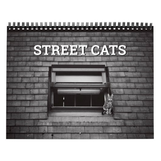 Calendrier Photographie de Street Cats (Protection)