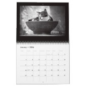 Calendrier Photographie de Street Cats (Jan 2026)