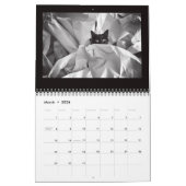 Calendrier Photographie de Street Cats (Mar 2026)