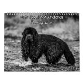 Calendrier Photographie de terre-neuve noir et blanc (Protection)