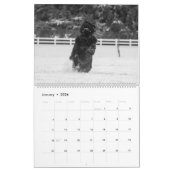 Calendrier Photographie de terre-neuve noir et blanc (Jan 2026)