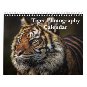 Calendrier Photographie de Tigre Animal Sauvage 2027