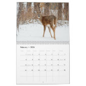 Calendrier Photographie de Wild Deer (Feb 2026)