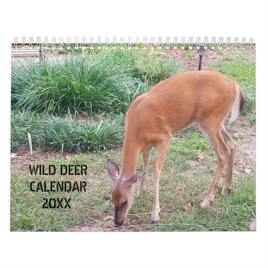 Calendrier Photographie de Wild Deer (Protection)