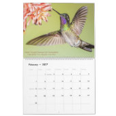 Calendrier Photographie des colibris 2021 (Feb 2027)