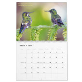 Calendrier Photographie des colibris 2021 (Mar 2027)