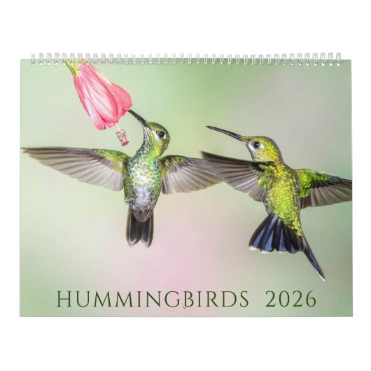 Calendrier Photographie des colibris 2021 (Protection)