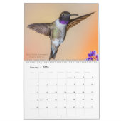 Calendrier Photographie des colibris 2023 (Jan 2026)