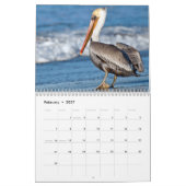 Calendrier Photographie des oiseaux de plage (Feb 2027)