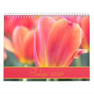Calendrier Photographie des tulipes colorées 2021