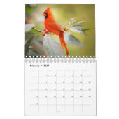 Calendrier Photographie Extraordinaire des OISEAUX (Feb 2027)