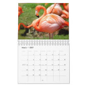 Calendrier Photographie Extraordinaire des OISEAUX (Mar 2027)