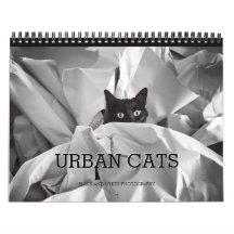 Photographie noire et blanche de chats urbains