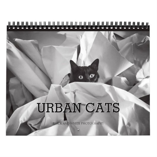 Calendrier Photographie noire et blanche de chats urbains (Protection)