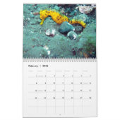 Calendrier Photographie sous-marine d'océan (Feb 2026)