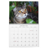 Calendrier Photographies de chats (Jan 2027)