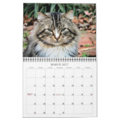 Calendrier Photographies de chats (Mar 2027)