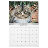 Calendrier Photographies de chats (Mar 2026)