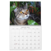 Calendrier Photographies de chats (Jan 2026)