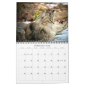 Calendrier Photographies de chats (Feb 2026)